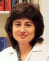 Dr. Chibisov